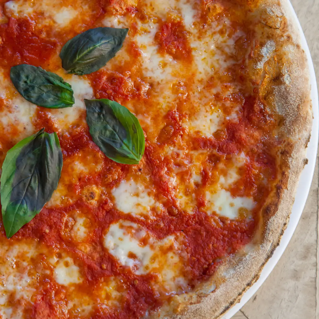 nuestra pizza margarita nuestra pizza margarita